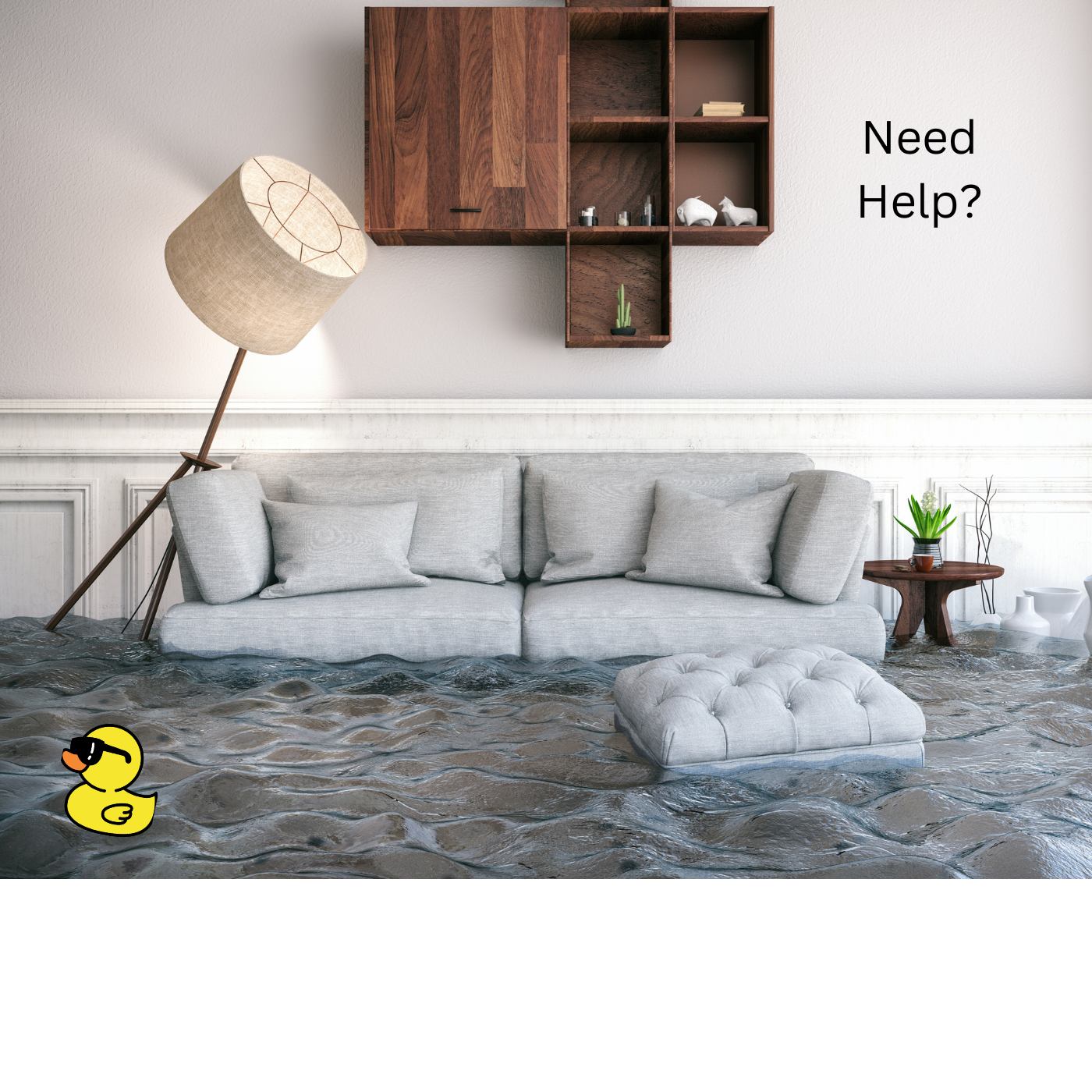 Flooded_house_1_duck
